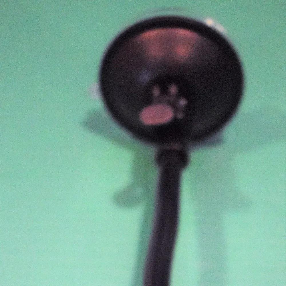 Auto Cell Phone Holder